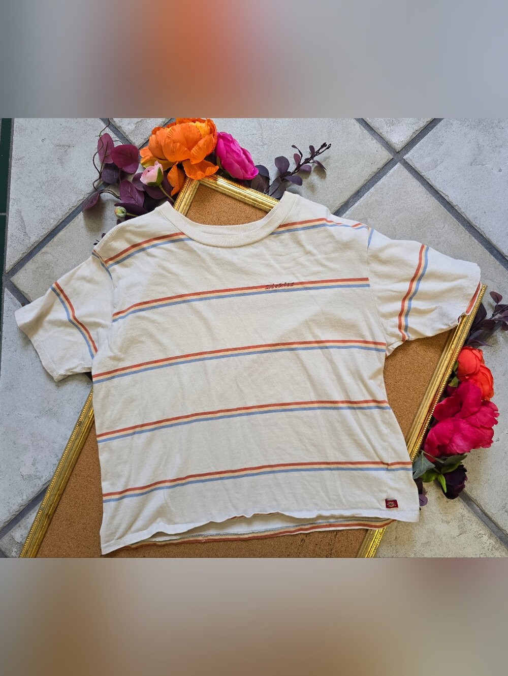Dickies Cream Tee with Blue & Orange Stripe Detail